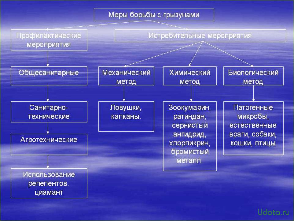 Народные средства борьбы с грызунами-вредителями