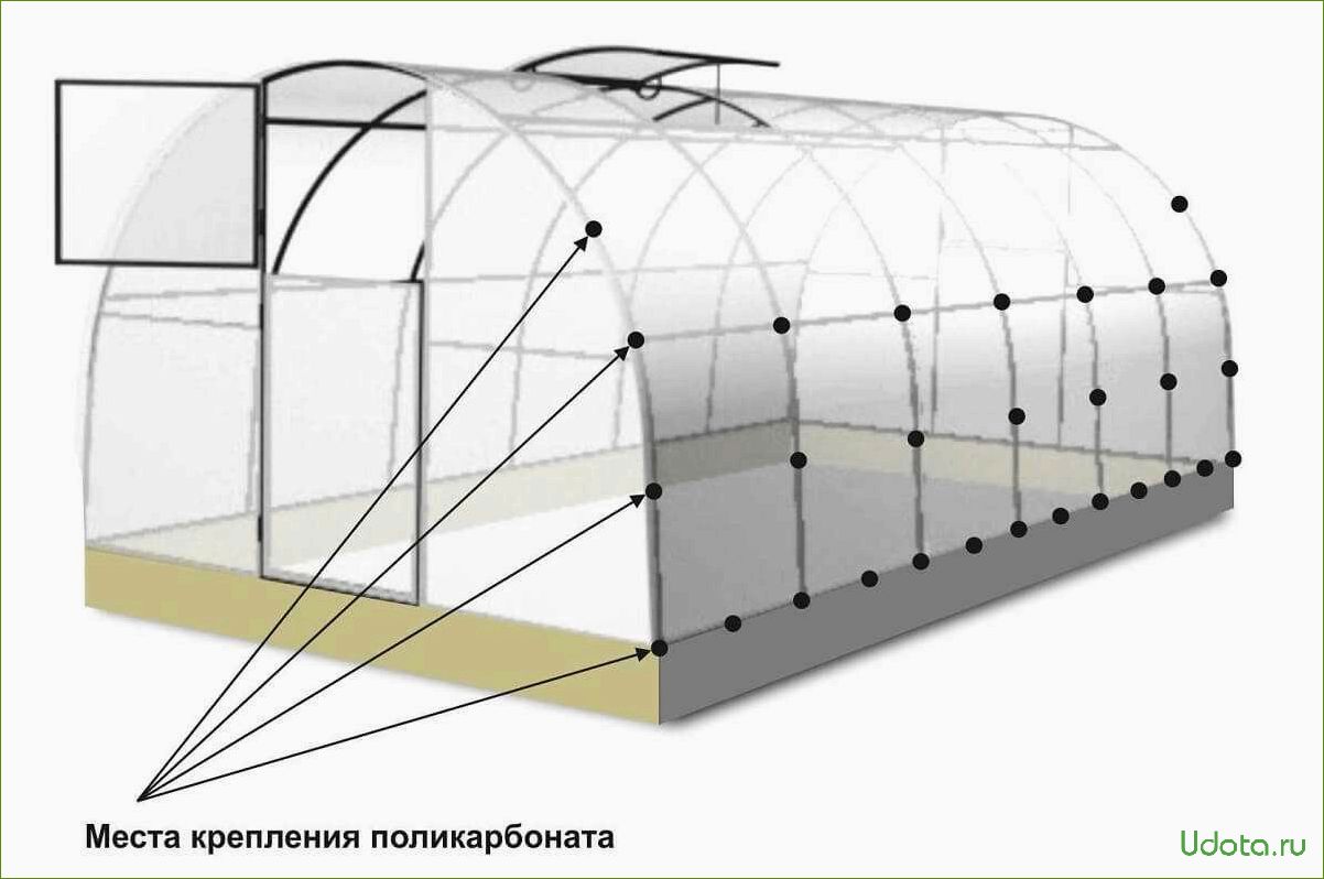 Поликарбонат на садовом участке: преимущества и применение