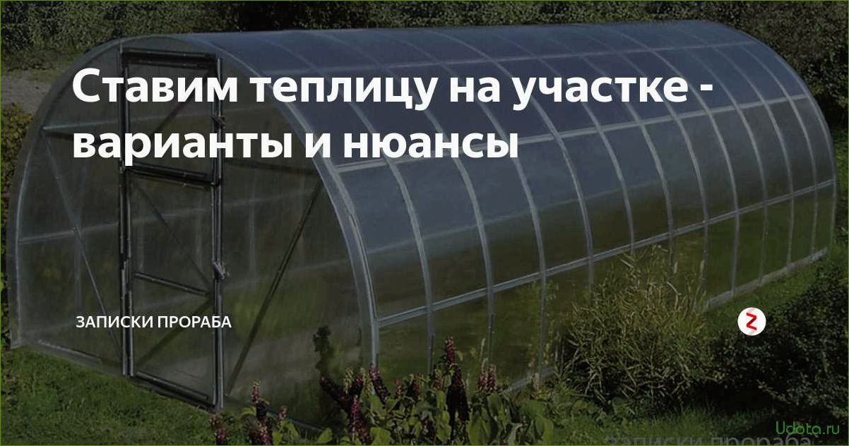 Поликарбонат на садовом участке: преимущества и применение