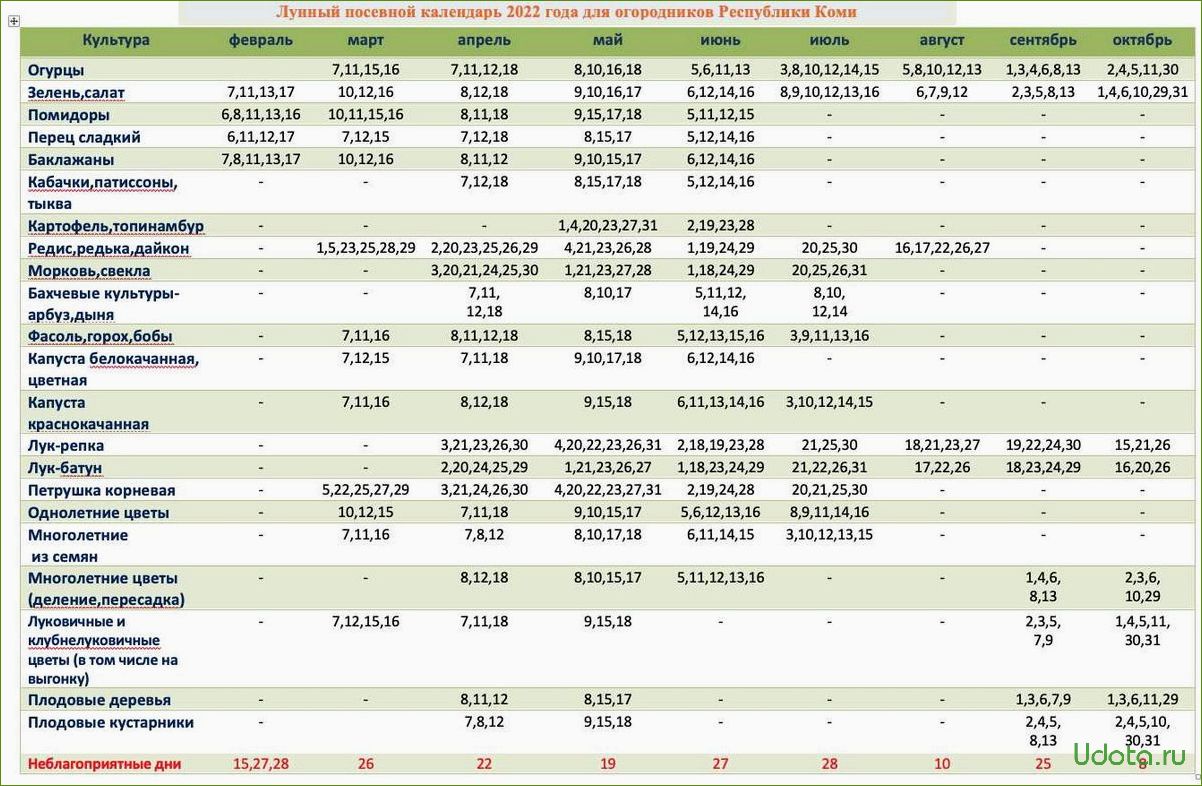 Посев капусты на рассаду и в грунт по народному и лунному календарю 2024 года