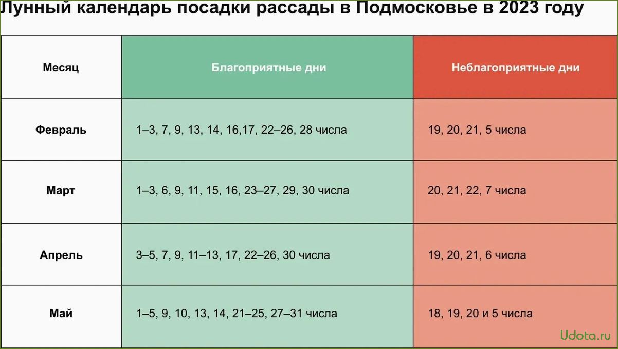 Посев капусты на рассаду и в грунт по народному и лунному календарю 2024 года