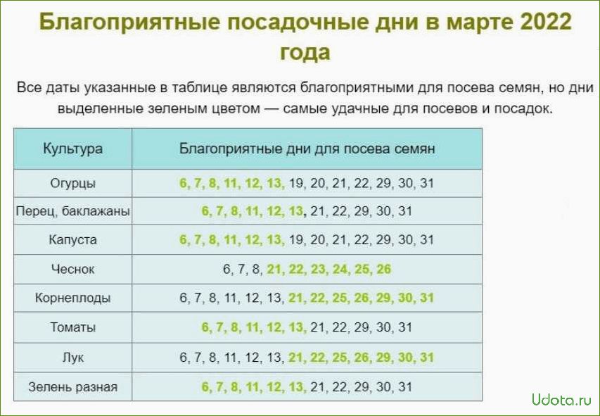 Посев капусты на рассаду и в грунт по народному и лунному календарю 2024 года