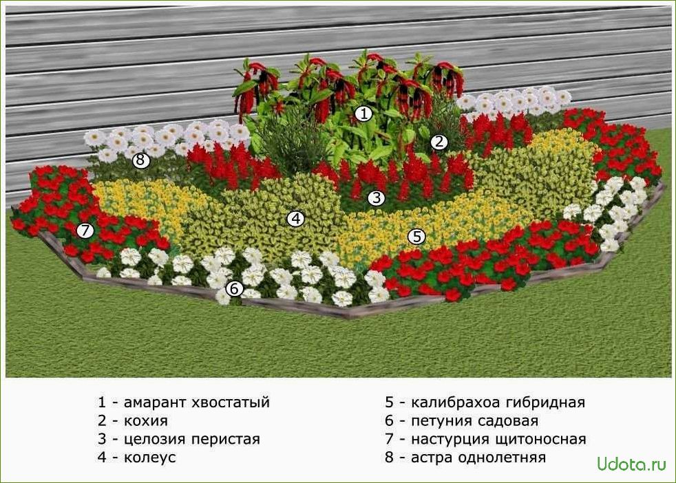 Проект клумбы: выбор формы, места и цветов