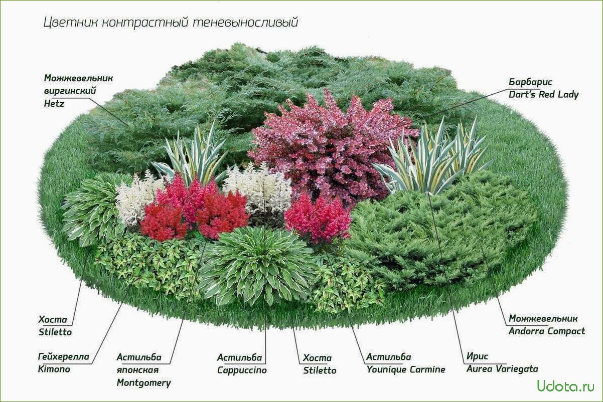 Проект клумбы: выбор формы, места и цветов