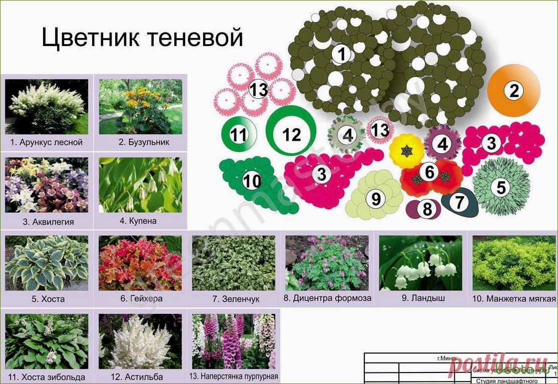 Проект клумбы: выбор формы, места и цветов