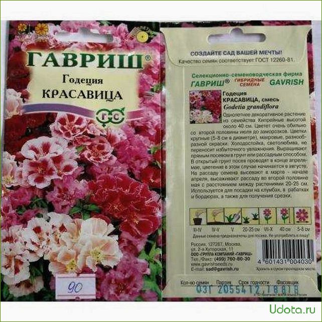 Выращивание годеции крупноцветковой: секреты успешной культивации