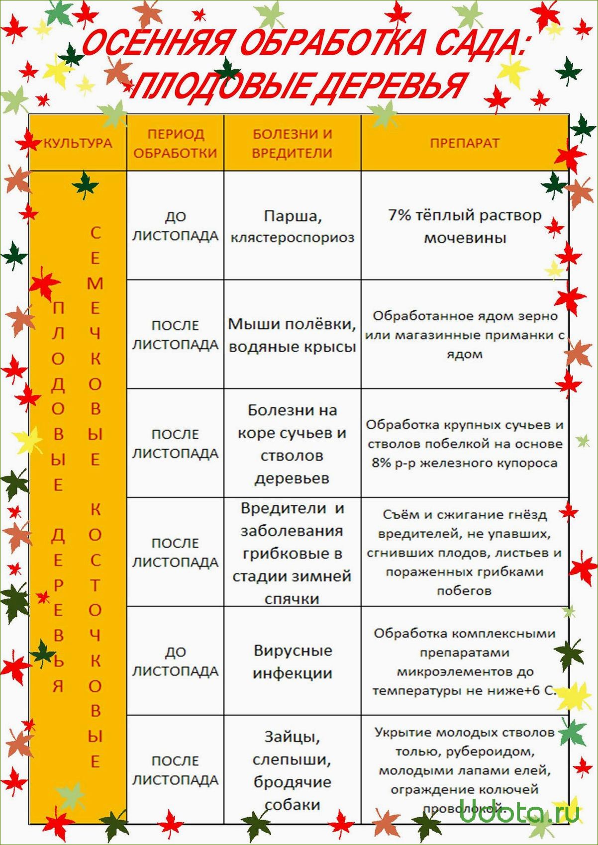 Осенняя профилактика сада и защита растений осенью