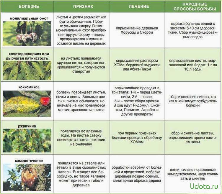 Основные болезни плодового сада: краткий определитель
