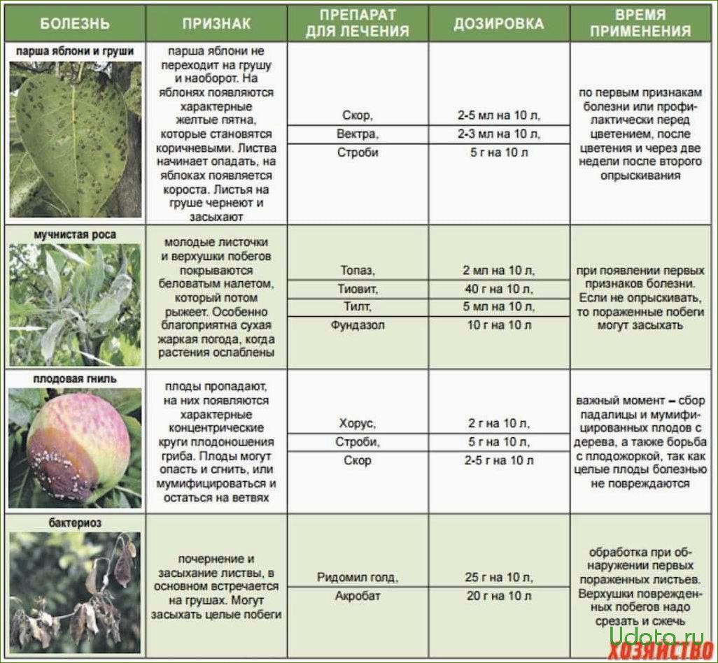 Основные болезни плодового сада: краткий определитель