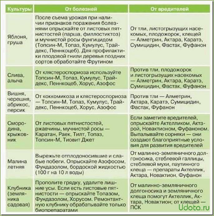 Основные болезни плодового сада: краткий определитель