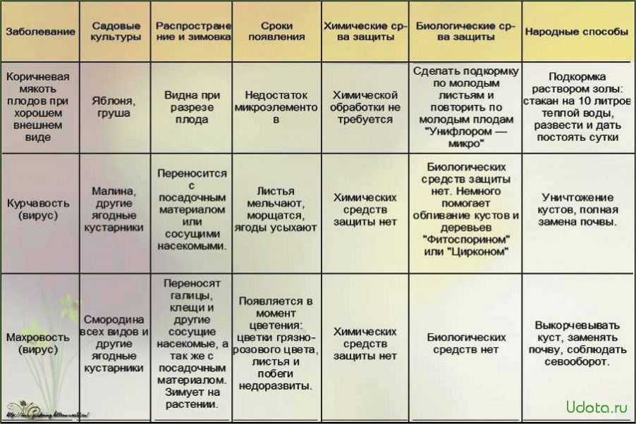 Основные болезни плодового сада: краткий определитель
