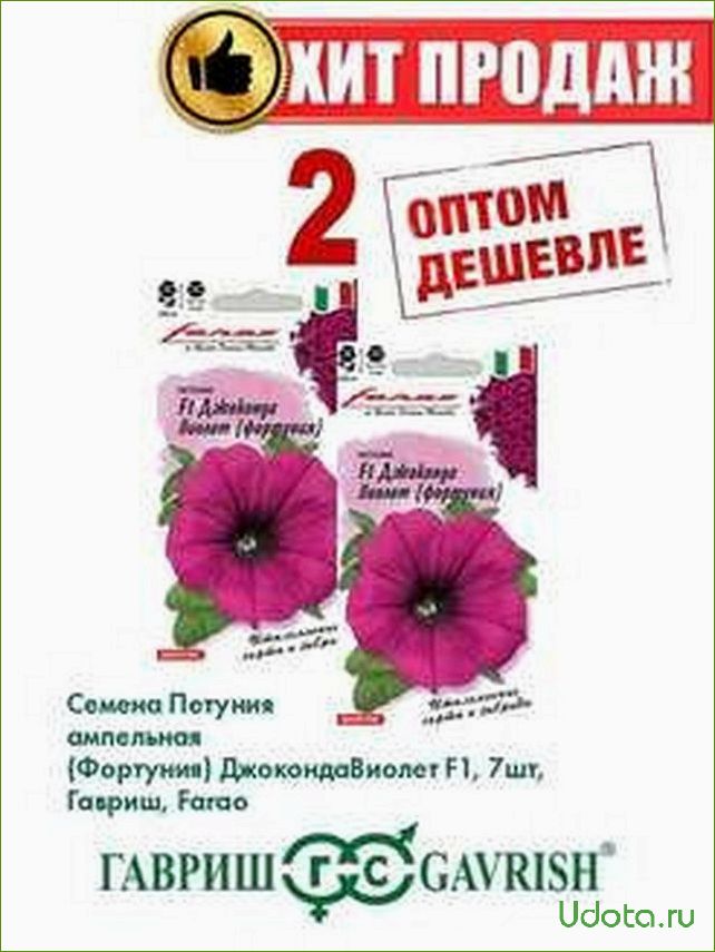 Петуния фортуния: подробное описание и советы по уходу