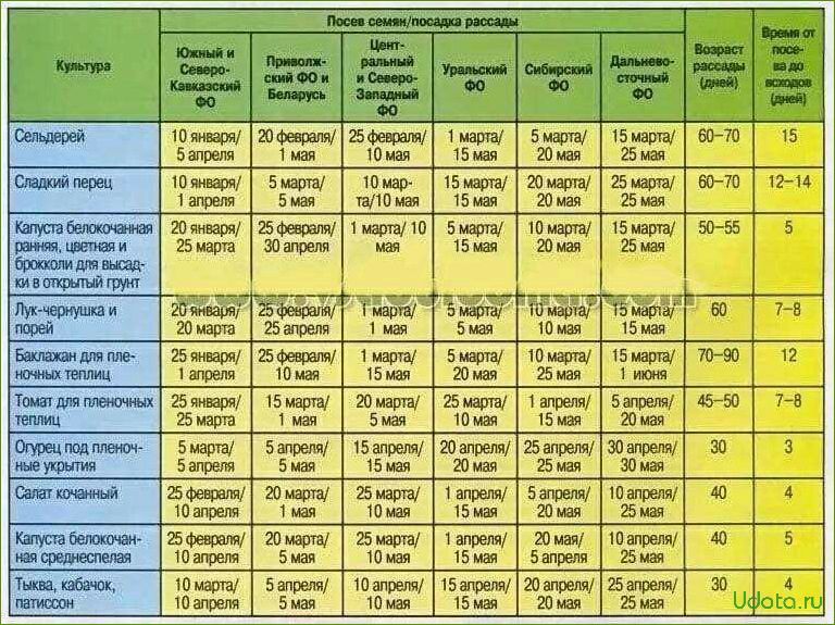 Сроки посева семян овощей на рассаду: как самому рассчитать сроки посева