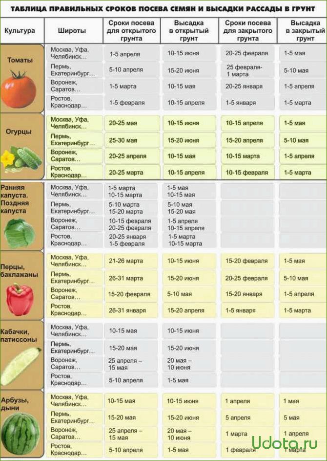 Сроки посева семян овощей на рассаду: как самому рассчитать сроки посева