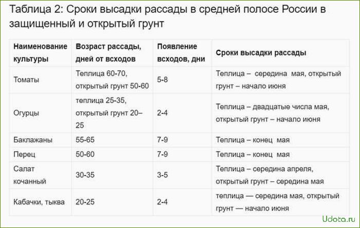 Сроки посева семян овощей на рассаду: как самому рассчитать сроки посева