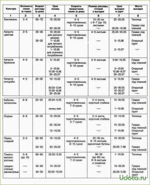 Сроки посева семян овощей на рассаду: как самому рассчитать сроки посева