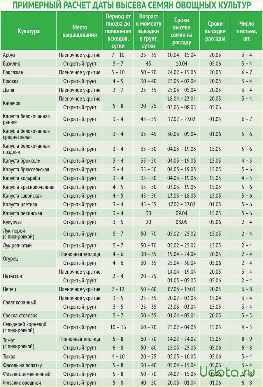 Сроки посева семян овощей на рассаду: как самому рассчитать сроки посева