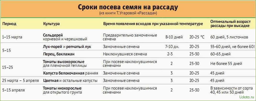 Сроки посева семян овощей на рассаду: как самому рассчитать сроки посева