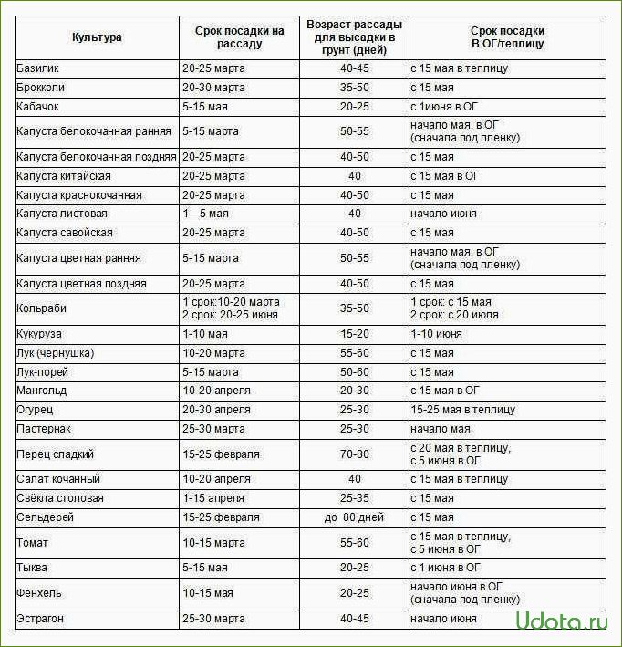 Сроки посева семян овощей на рассаду: как самому рассчитать сроки посева