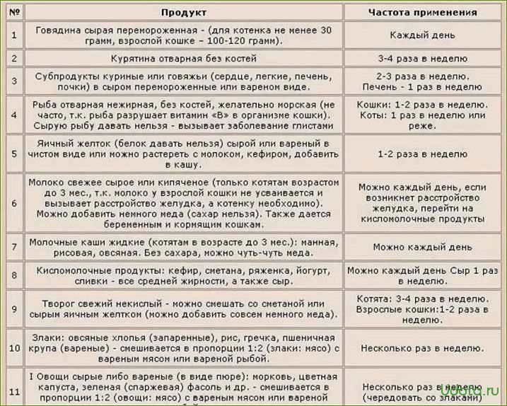 Чем и как кормить кошку правильно: что можно давать и сколько