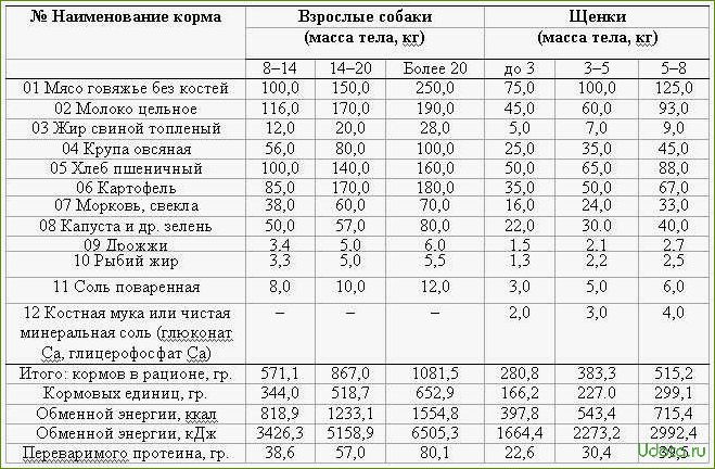 Лечебные корма: основные правила