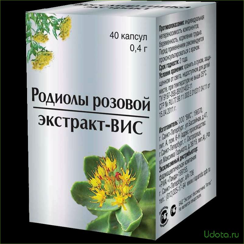 Полезные свойства и противопоказания родиолы розовой + рецепты