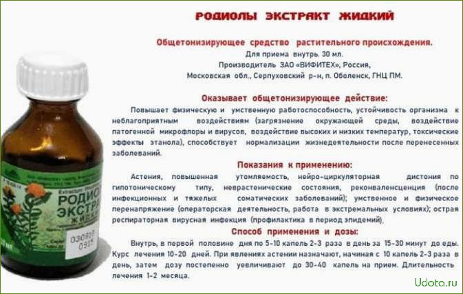 Полезные свойства и противопоказания родиолы розовой + рецепты