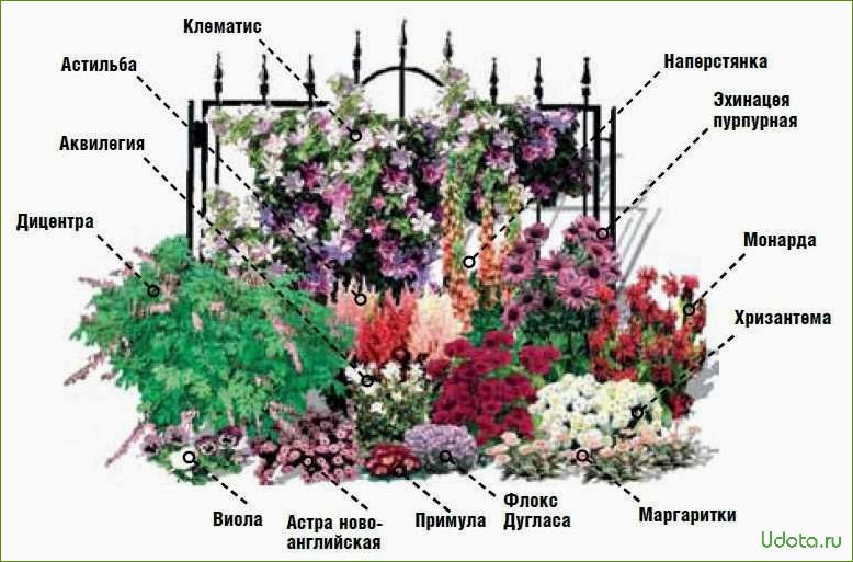 Проект цветника: цветник минимального ухода