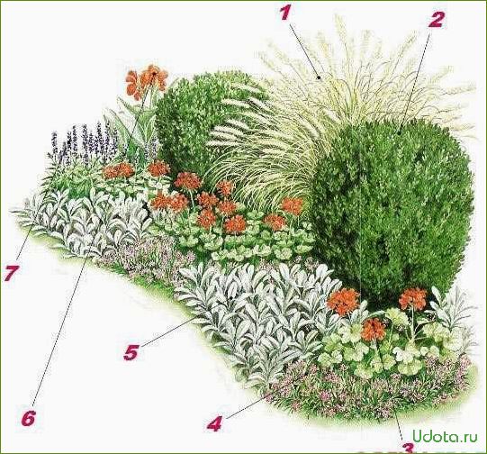 Проект цветника: цветник минимального ухода