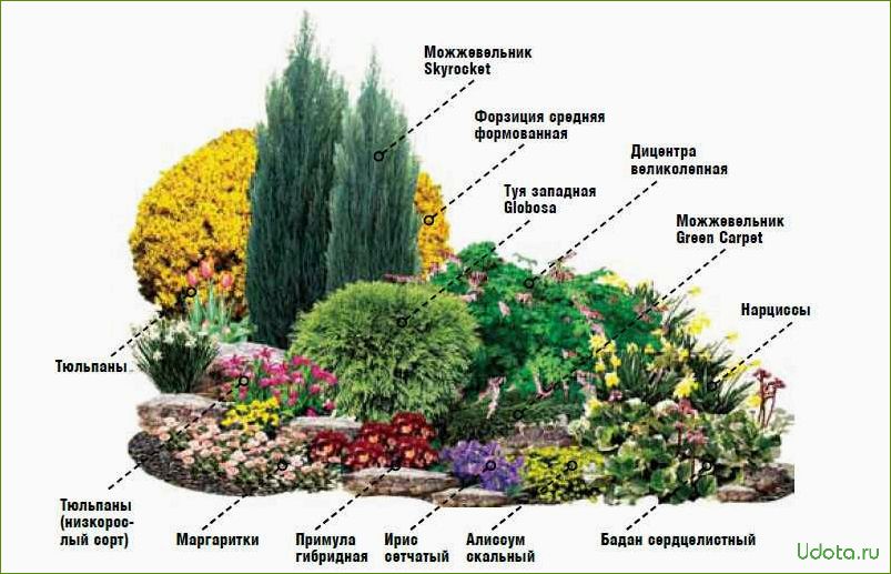 Проект цветника: цветник минимального ухода