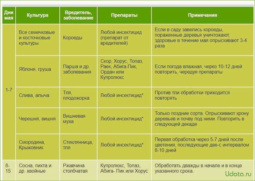 Профилактические меры против болезней косточковых культур