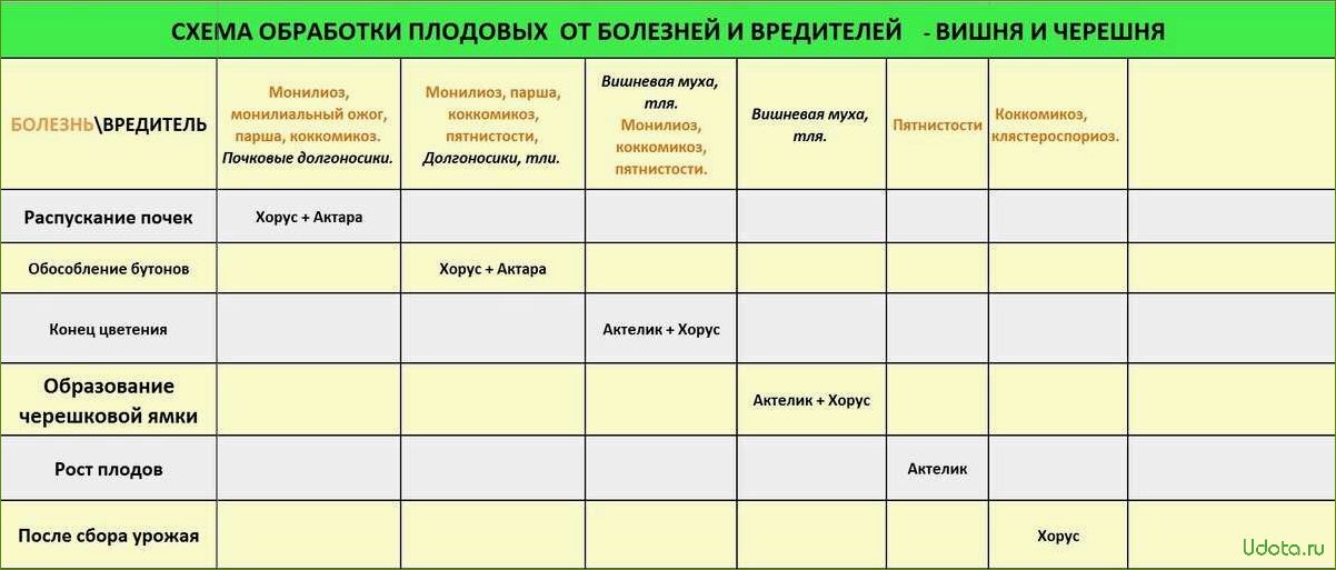 Профилактические меры против болезней косточковых культур