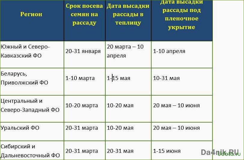 Рассада помидоров: от посева семян до высадки в грунт или теплицу