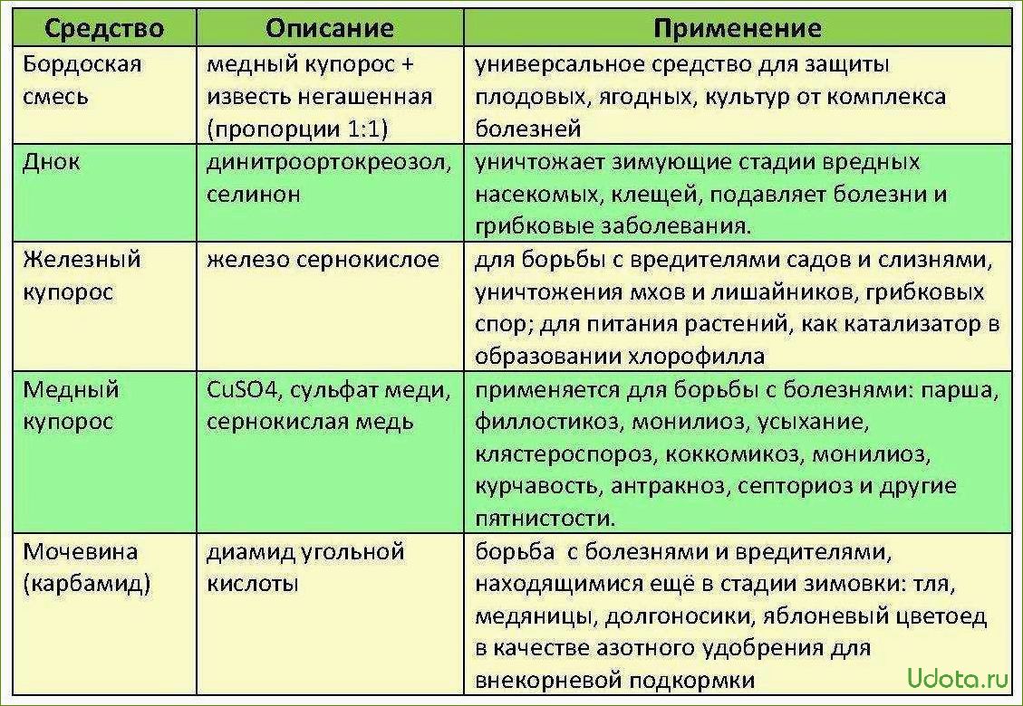 Как правильно обработать розы осенью для защиты от болезней