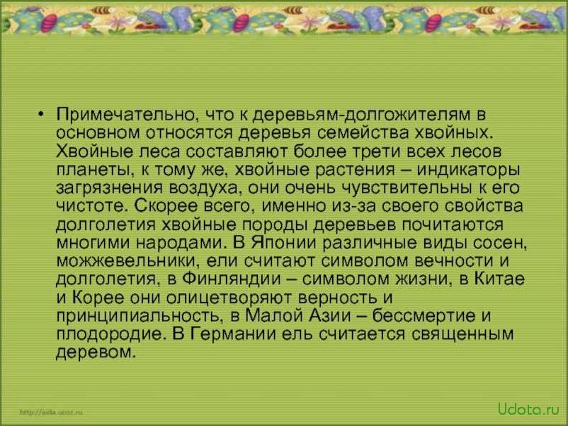 Растения, которые живут долго: особенности и секреты долголетия