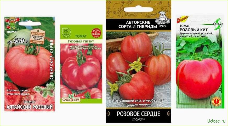 Урожайные не крупноплодные томаты. Томат розовый кит 15шт/10. Помидоры розовый кит. Томат розовый кит характеристика. Томат розовый мясистый.