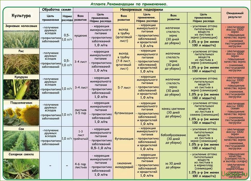 Сибирские ирисы: покупка, посадка, подкормки, размножение, защита от болезней и вредителей