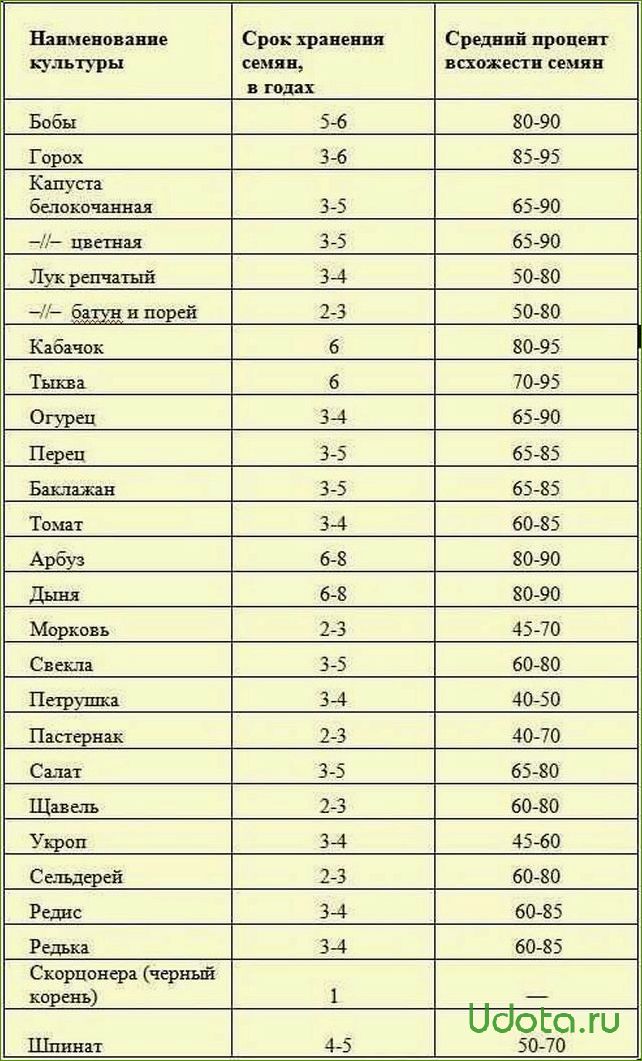 Световой режим для семян: светочувствительные и темновсхожие семена