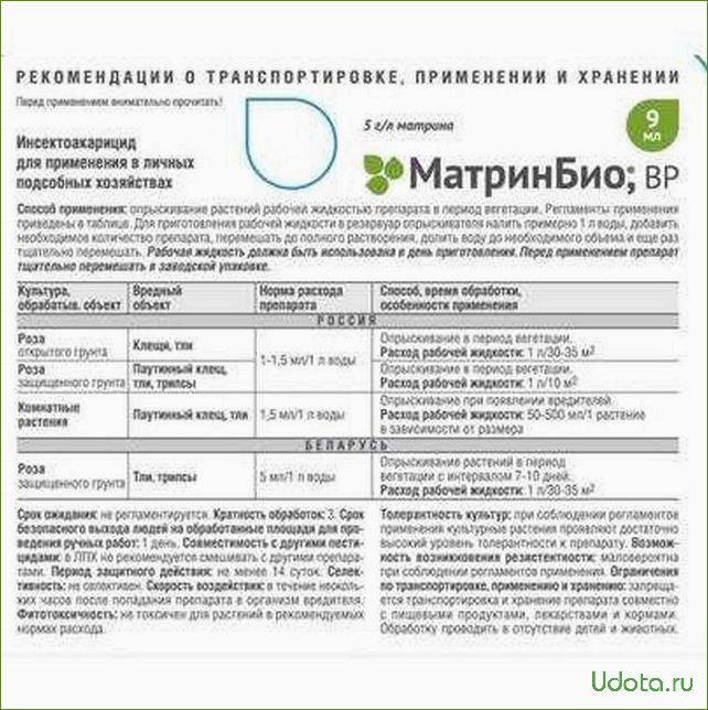 Топ-4 безопасных биологических средств для защиты комнатных растений от вредителей