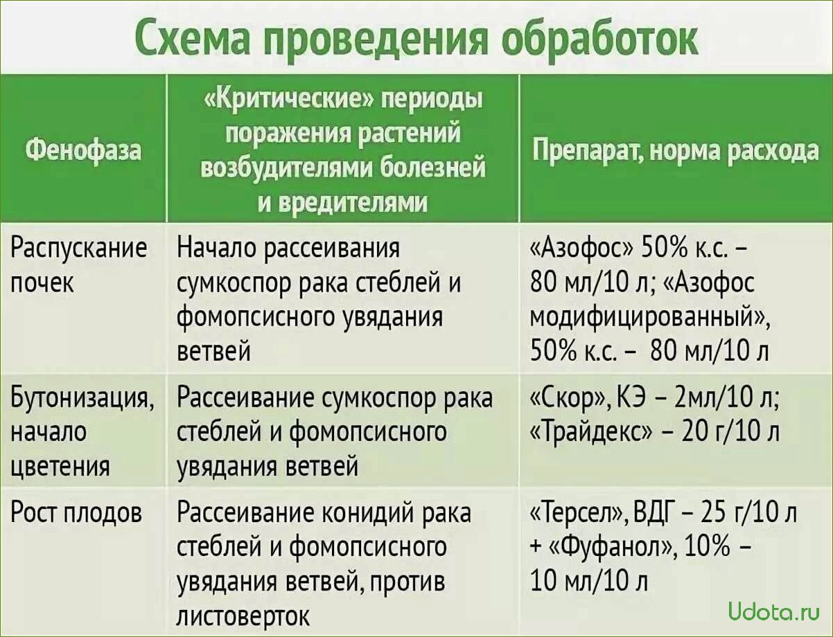 Чем обработать сад в июне от болезней и вредителей: список эффективных препаратов