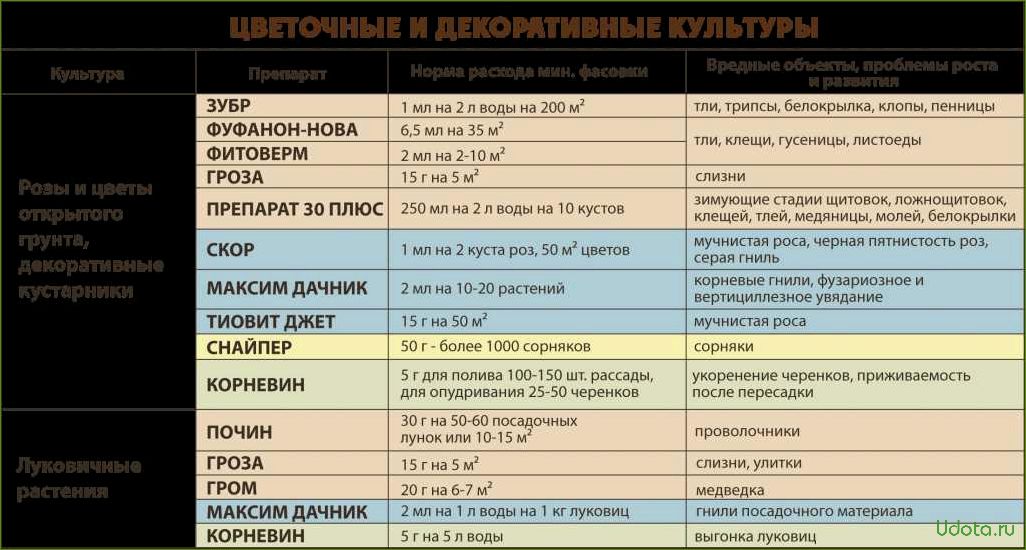 Чем обработать сад в июне от болезней и вредителей: список эффективных препаратов