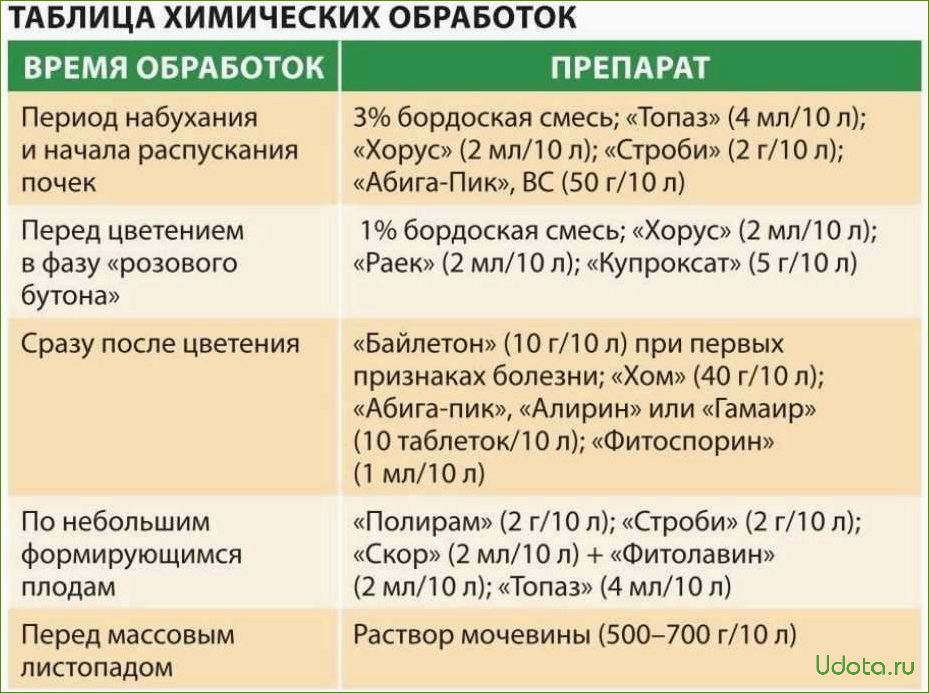 Рецепты инсектицидных растворов на основе натуральных продуктов для обработки растений от вредителей