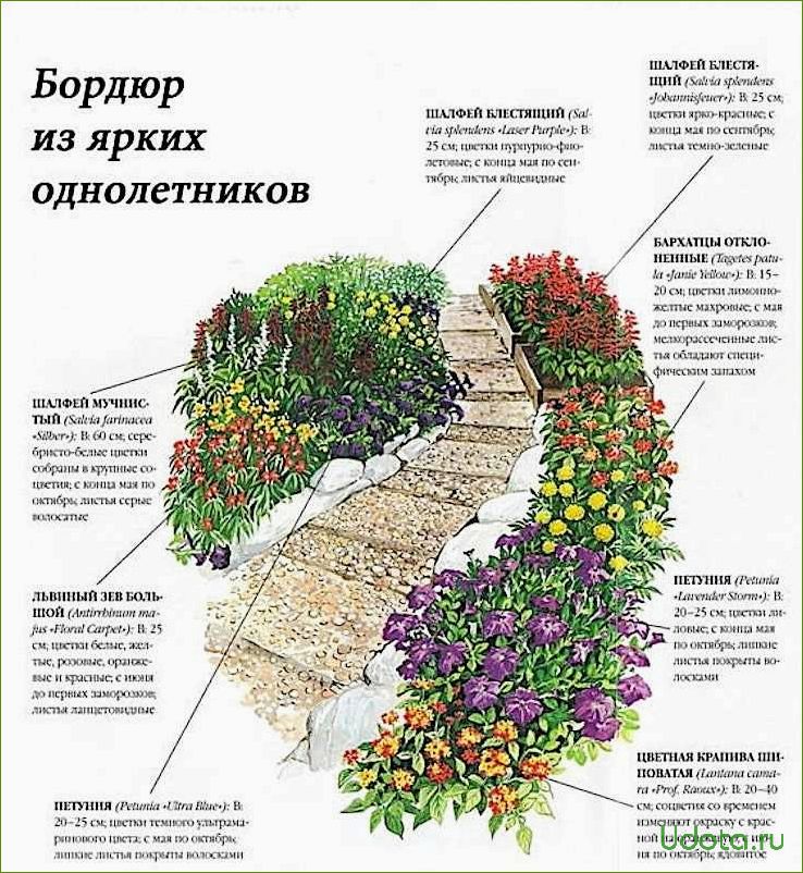 Что такое рабатка: рекомендации по устройству и выбору растений