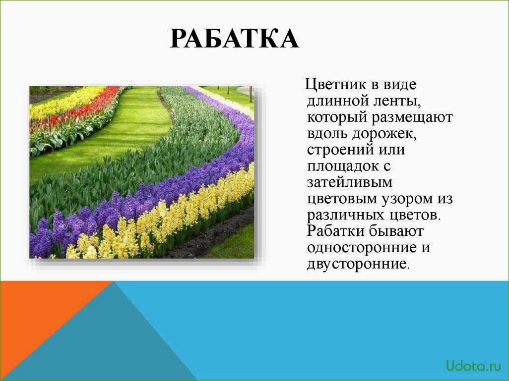 Что такое рабатка: рекомендации по устройству и выбору растений