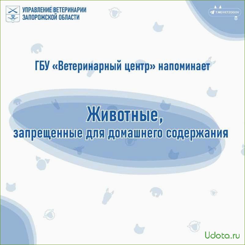 Правительство утвердило список животных, запрещенных для содержания в домашних условиях