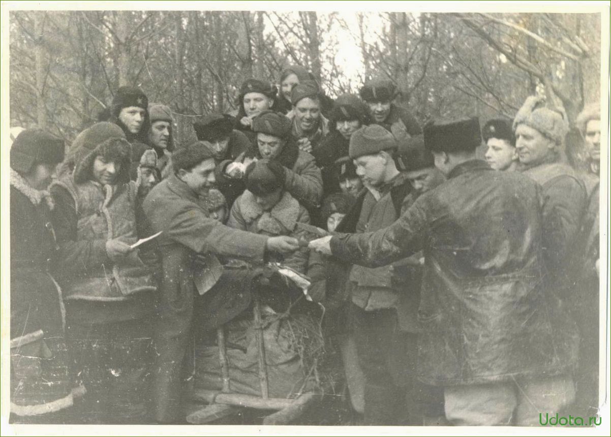 Сад и огород: партизанское движение