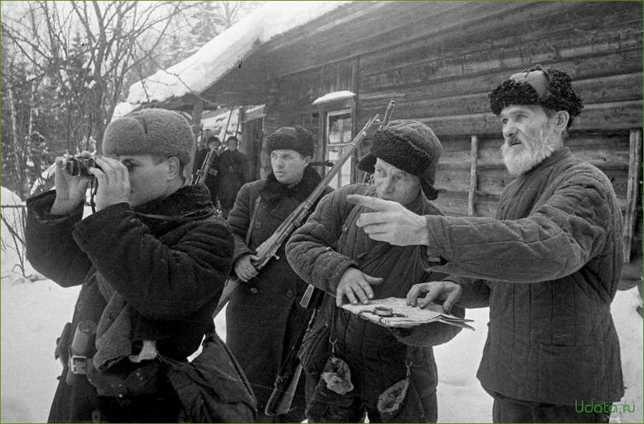 Сад и огород: партизанское движение