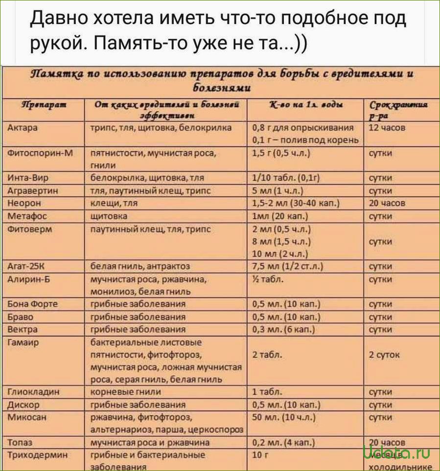 Удобный список препаратов для сада на май