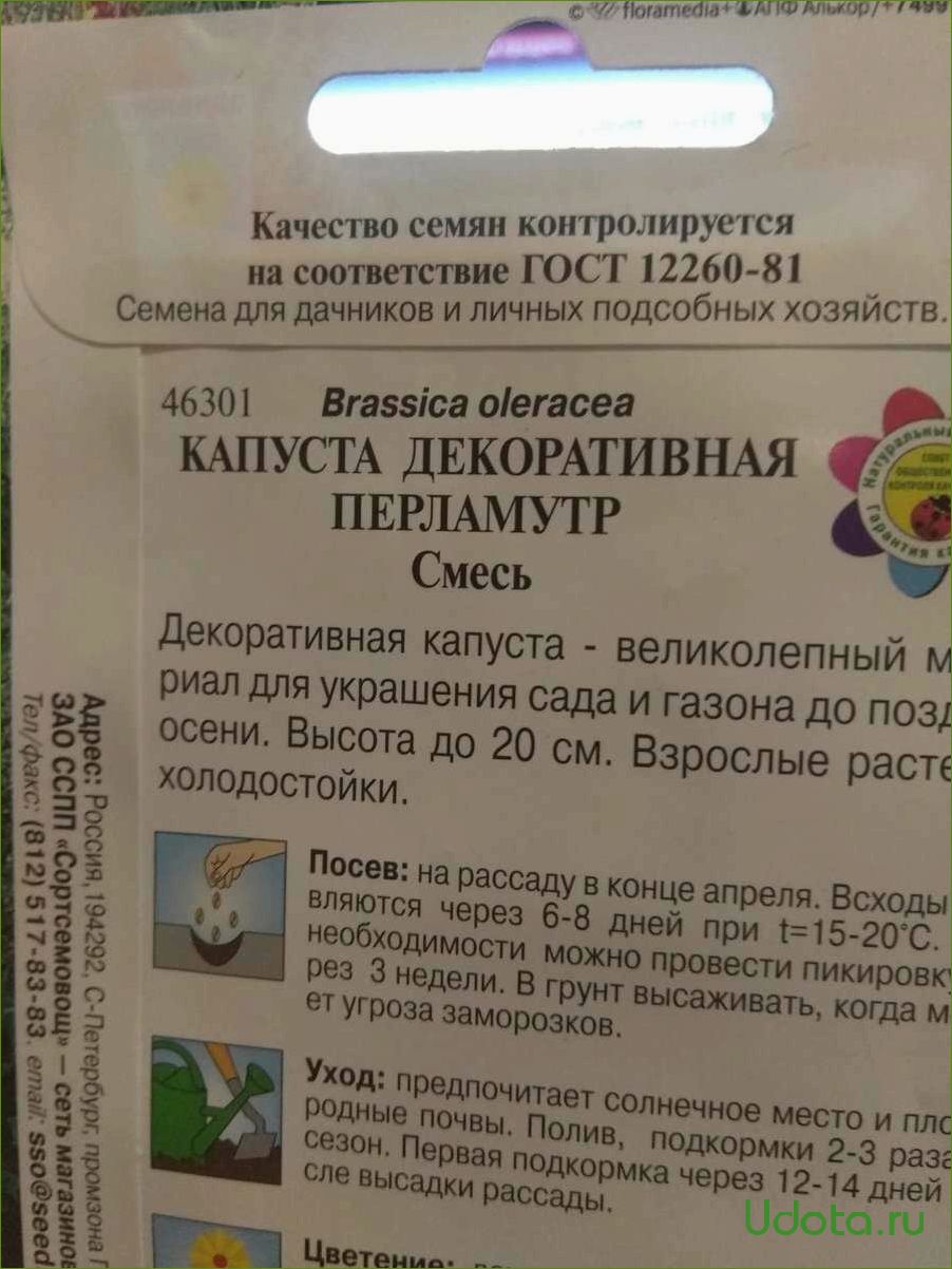 Как выбрать качественные семена для посева: что написано на пакетике семян