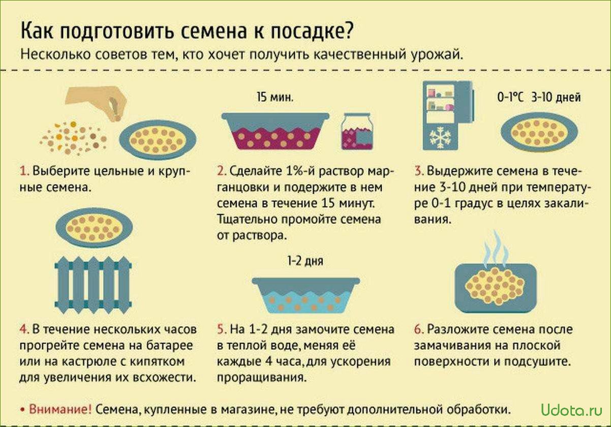 Как выбрать качественные семена для посева: что написано на пакетике семян